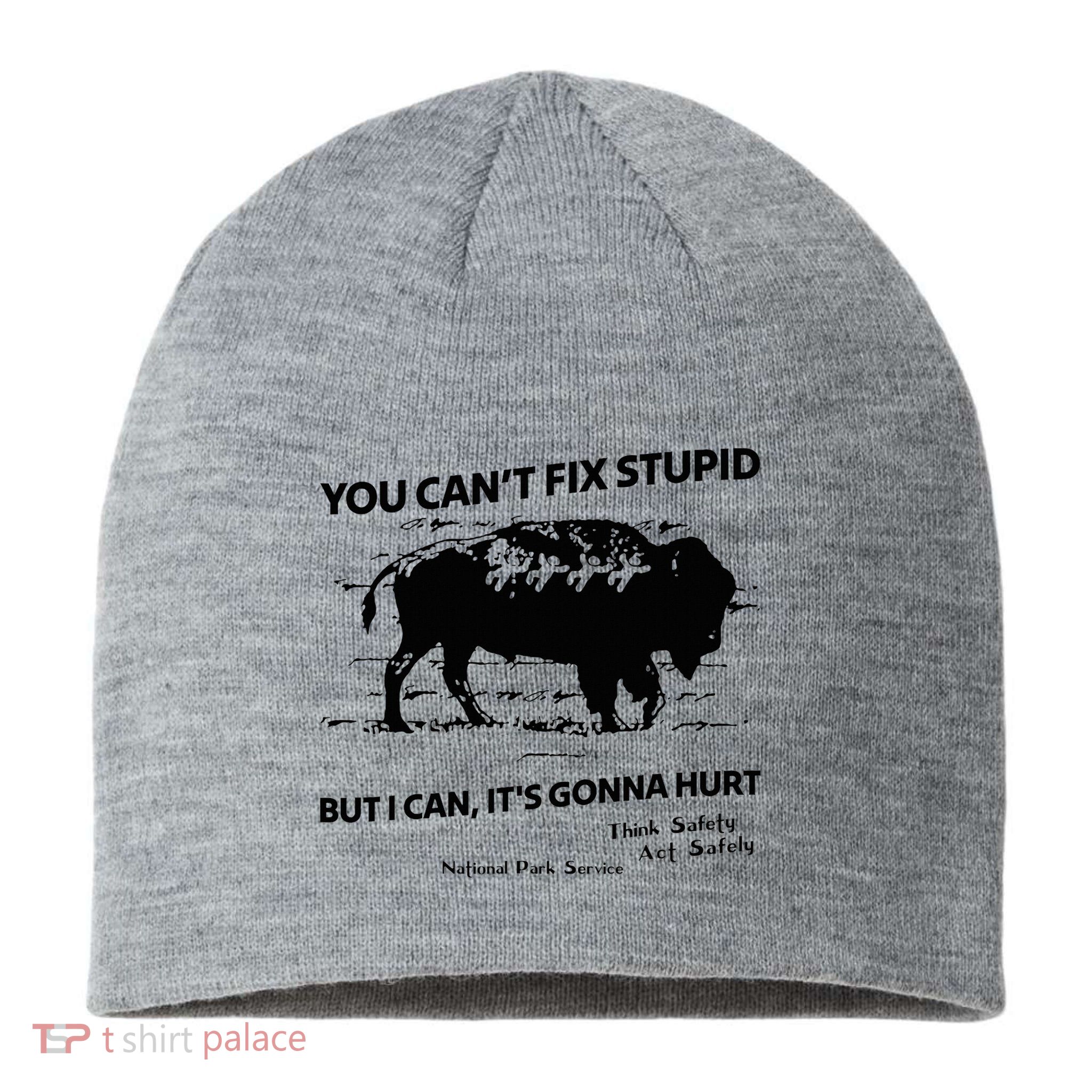 You Can’T Fix Stupid But I Can ItS Gonna Hurt Funny Quote Sustainable Beanie