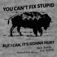 You Can’T Fix Stupid But I Can ItS Gonna Hurt Funny Quote Sustainable Beanie