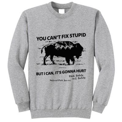 You Can’T Fix Stupid But I Can ItS Gonna Hurt Funny Quote Tall Sweatshirt