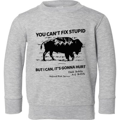 You Can’T Fix Stupid But I Can ItS Gonna Hurt Funny Quote Toddler Sweatshirt