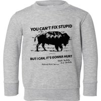 You Can’T Fix Stupid But I Can ItS Gonna Hurt Funny Quote Toddler Sweatshirt