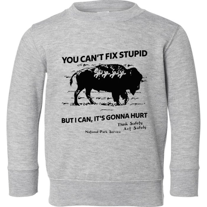 You Can’T Fix Stupid But I Can ItS Gonna Hurt Funny Quote Toddler Sweatshirt