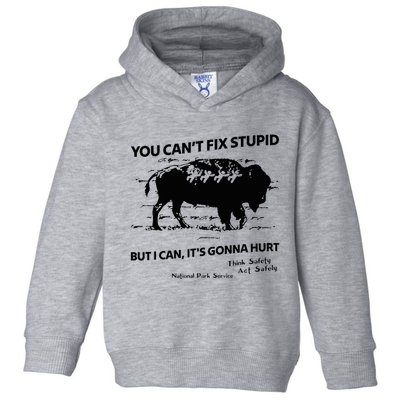 You Can’T Fix Stupid But I Can ItS Gonna Hurt Funny Quote Toddler Hoodie