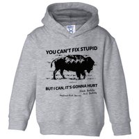 You Can’T Fix Stupid But I Can ItS Gonna Hurt Funny Quote Toddler Hoodie