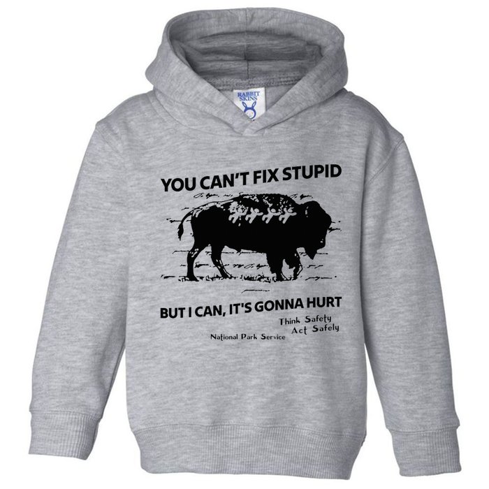 You Can’T Fix Stupid But I Can ItS Gonna Hurt Funny Quote Toddler Hoodie