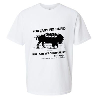 You Can’T Fix Stupid But I Can ItS Gonna Hurt Funny Quote Sueded Cloud Jersey T-Shirt