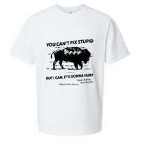 You Can’T Fix Stupid But I Can ItS Gonna Hurt Funny Quote Sueded Cloud Jersey T-Shirt