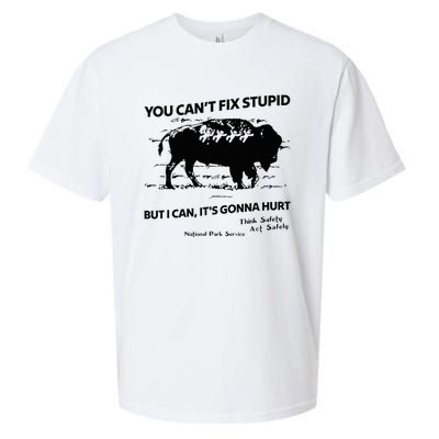 You Can’T Fix Stupid But I Can ItS Gonna Hurt Funny Quote Sueded Cloud Jersey T-Shirt