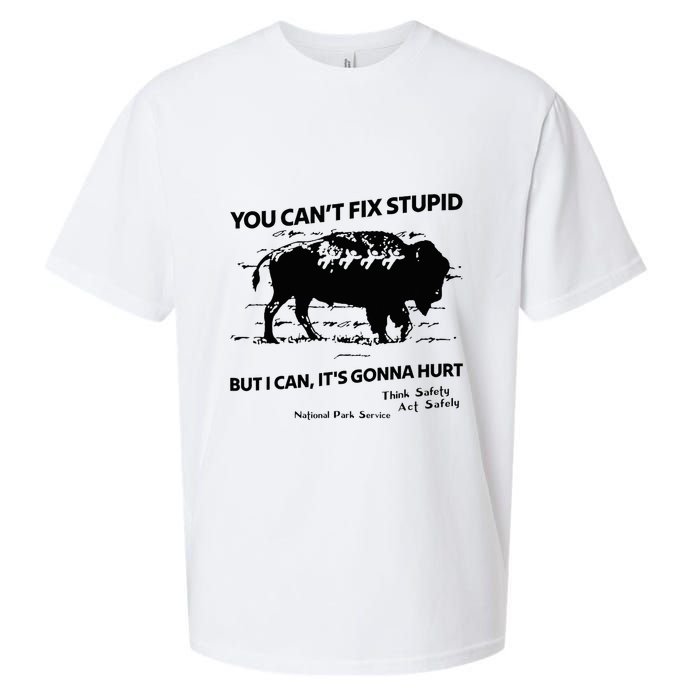 You Can’T Fix Stupid But I Can ItS Gonna Hurt Funny Quote Sueded Cloud Jersey T-Shirt