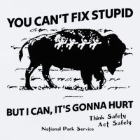 You Can’T Fix Stupid But I Can ItS Gonna Hurt Funny Quote Sueded Cloud Jersey T-Shirt