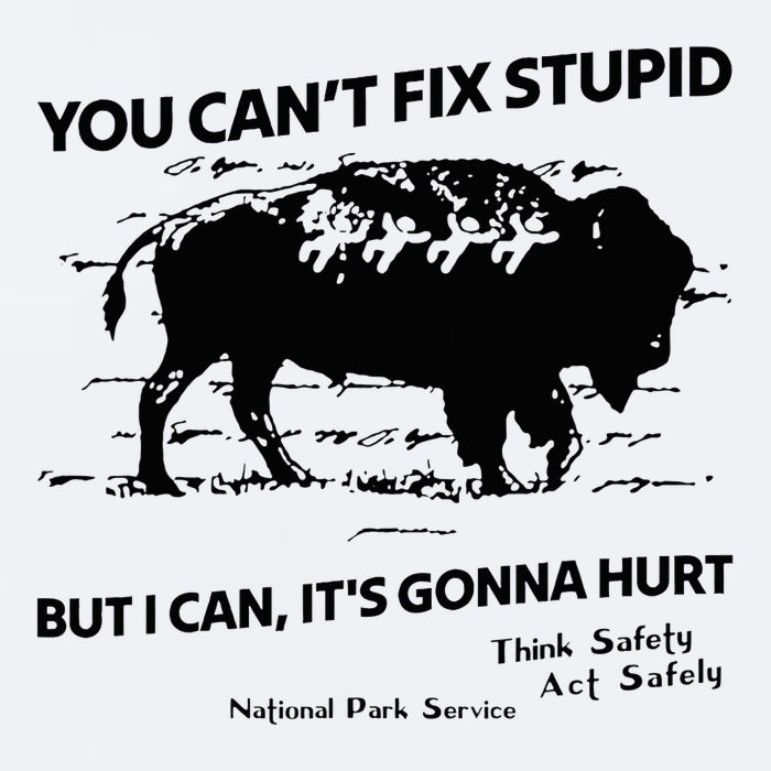 You Can’T Fix Stupid But I Can ItS Gonna Hurt Funny Quote Sueded Cloud Jersey T-Shirt