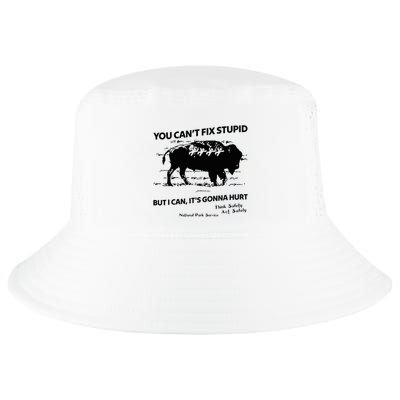 You Can’T Fix Stupid But I Can ItS Gonna Hurt Funny Quote Cool Comfort Performance Bucket Hat