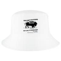 You Can’T Fix Stupid But I Can ItS Gonna Hurt Funny Quote Cool Comfort Performance Bucket Hat