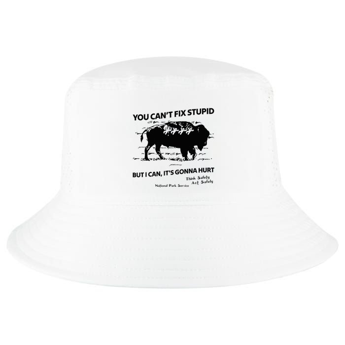 You Can’T Fix Stupid But I Can ItS Gonna Hurt Funny Quote Cool Comfort Performance Bucket Hat