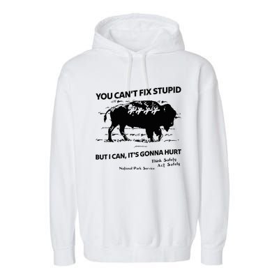 You Can’T Fix Stupid But I Can ItS Gonna Hurt Funny Quote Garment-Dyed Fleece Hoodie