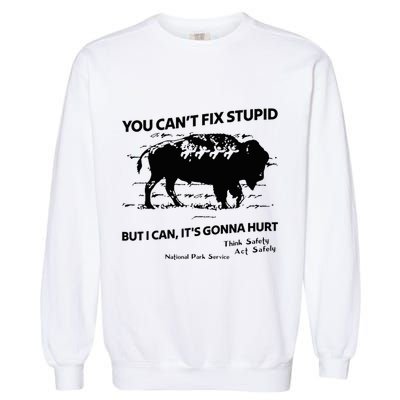 You Can’T Fix Stupid But I Can ItS Gonna Hurt Funny Quote Garment-Dyed Sweatshirt