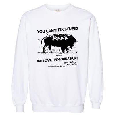 You Can’T Fix Stupid But I Can ItS Gonna Hurt Funny Quote Garment-Dyed Sweatshirt