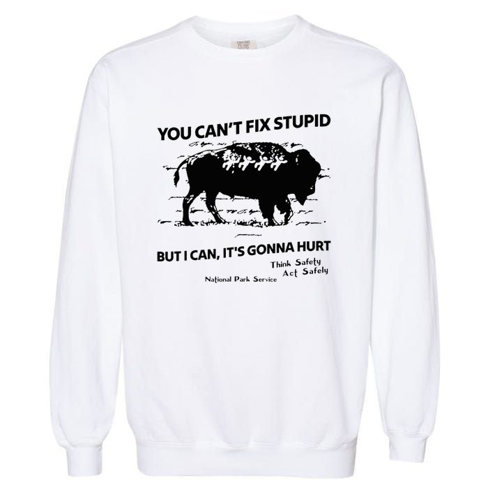 You Can’T Fix Stupid But I Can ItS Gonna Hurt Funny Quote Garment-Dyed Sweatshirt