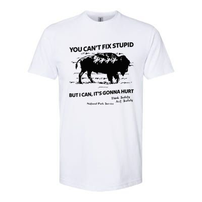 You Can’T Fix Stupid But I Can ItS Gonna Hurt Funny Quote Softstyle CVC T-Shirt