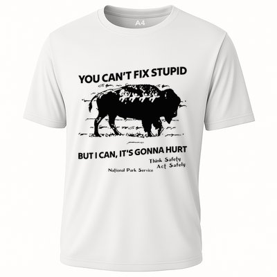 You Can’T Fix Stupid But I Can ItS Gonna Hurt Funny Quote Performance Shirt
