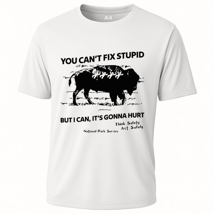 You Can’T Fix Stupid But I Can ItS Gonna Hurt Funny Quote Performance Shirt