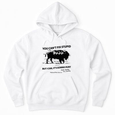 You Can’T Fix Stupid But I Can ItS Gonna Hurt Funny Quote Hoodie