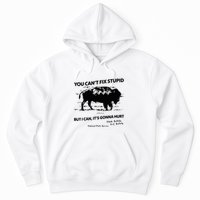 You Can’T Fix Stupid But I Can ItS Gonna Hurt Funny Quote Hoodie
