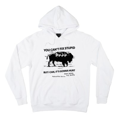 You Can’T Fix Stupid But I Can ItS Gonna Hurt Funny Quote Hoodie