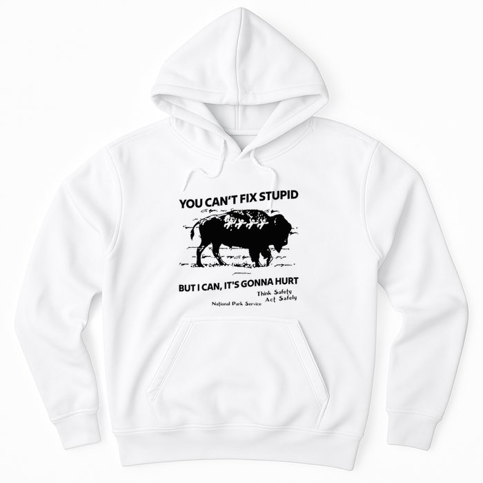 You Can’T Fix Stupid But I Can ItS Gonna Hurt Funny Quote Hoodie
