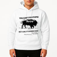 You Can’T Fix Stupid But I Can ItS Gonna Hurt Funny Quote Hoodie