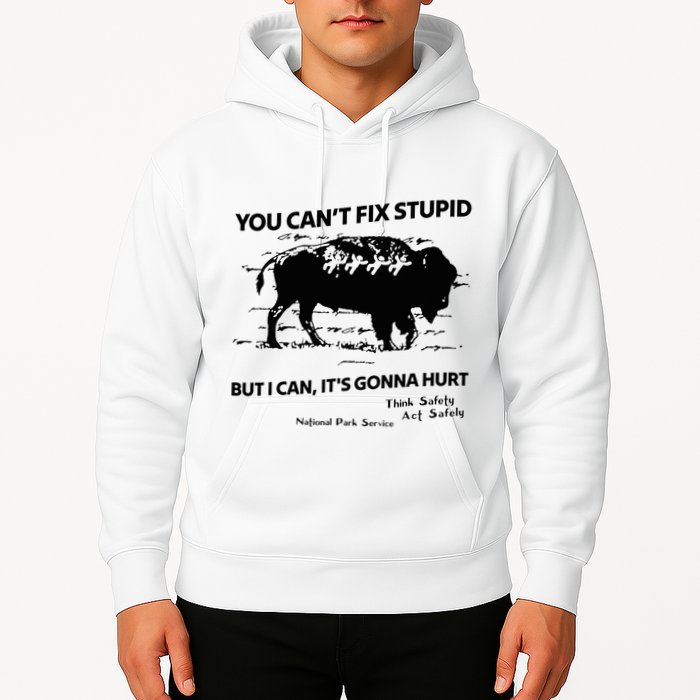 You Can’T Fix Stupid But I Can ItS Gonna Hurt Funny Quote Hoodie