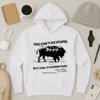 You Can’T Fix Stupid But I Can ItS Gonna Hurt Funny Quote Hoodie