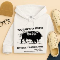 You Can’T Fix Stupid But I Can ItS Gonna Hurt Funny Quote Hoodie