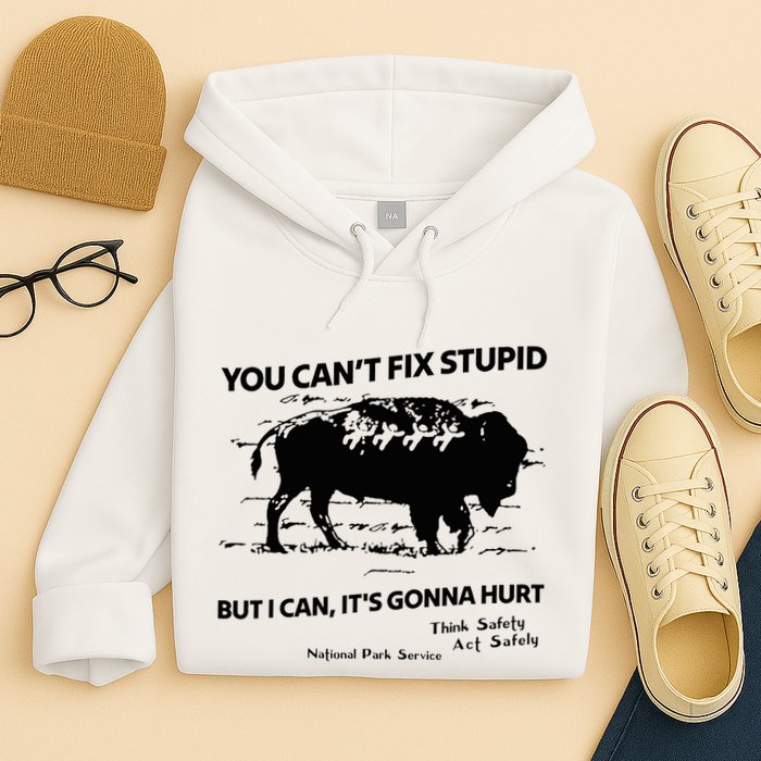 You Can’T Fix Stupid But I Can ItS Gonna Hurt Funny Quote Hoodie