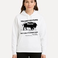 You Can’T Fix Stupid But I Can ItS Gonna Hurt Funny Quote Hoodie