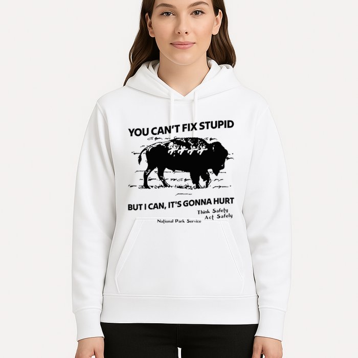 You Can’T Fix Stupid But I Can ItS Gonna Hurt Funny Quote Hoodie