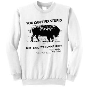 You Can’T Fix Stupid But I Can ItS Gonna Hurt Funny Quote Sweatshirt