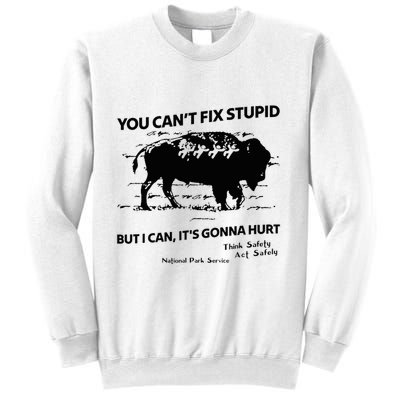 You Can’T Fix Stupid But I Can ItS Gonna Hurt Funny Quote Sweatshirt