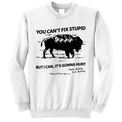 You Can’T Fix Stupid But I Can ItS Gonna Hurt Funny Quote Sweatshirt