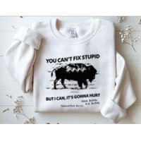 You Can’T Fix Stupid But I Can ItS Gonna Hurt Funny Quote Sweatshirt