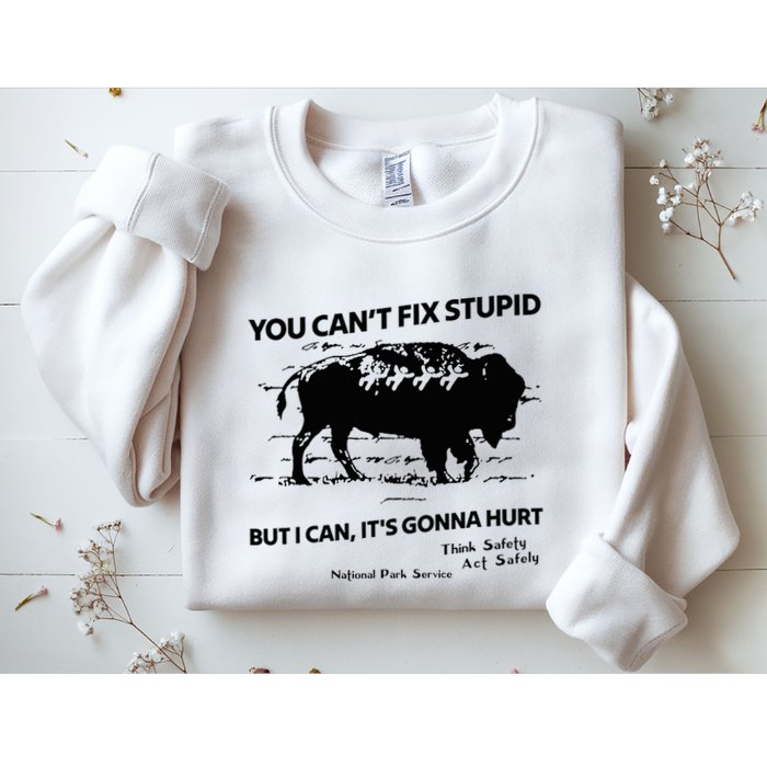 You Can’T Fix Stupid But I Can ItS Gonna Hurt Funny Quote Sweatshirt