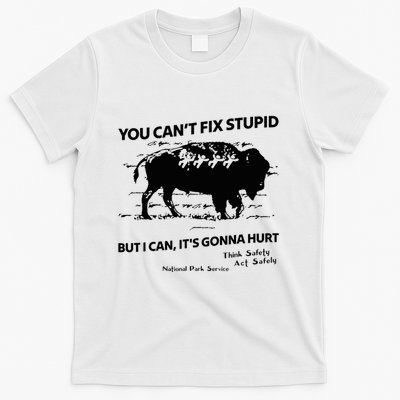 You Can’T Fix Stupid But I Can ItS Gonna Hurt Funny Quote T-Shirt