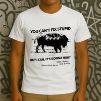 You Can’T Fix Stupid But I Can ItS Gonna Hurt Funny Quote T-Shirt