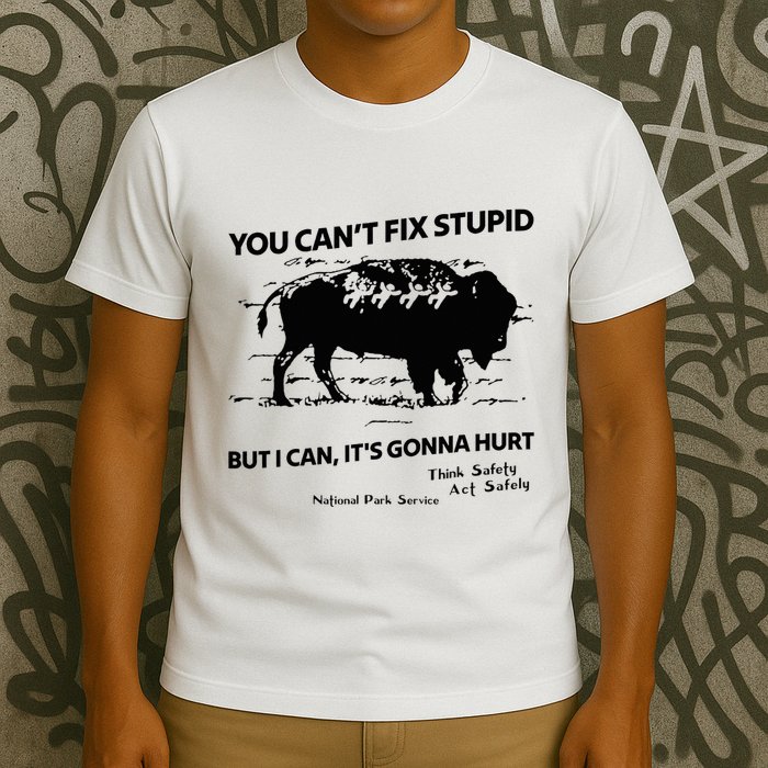 You Can’T Fix Stupid But I Can ItS Gonna Hurt Funny Quote T-Shirt