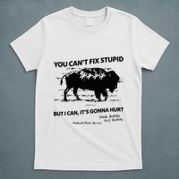 You Can’T Fix Stupid But I Can ItS Gonna Hurt Funny Quote T-Shirt