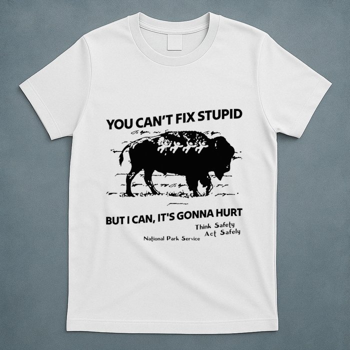 You Can’T Fix Stupid But I Can ItS Gonna Hurt Funny Quote T-Shirt