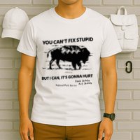 You Can’T Fix Stupid But I Can ItS Gonna Hurt Funny Quote T-Shirt