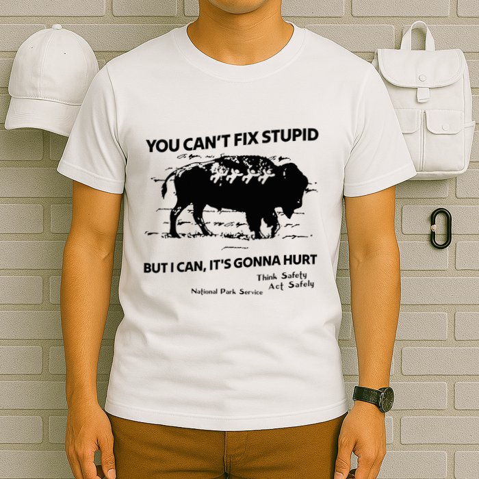 You Can’T Fix Stupid But I Can ItS Gonna Hurt Funny Quote T-Shirt
