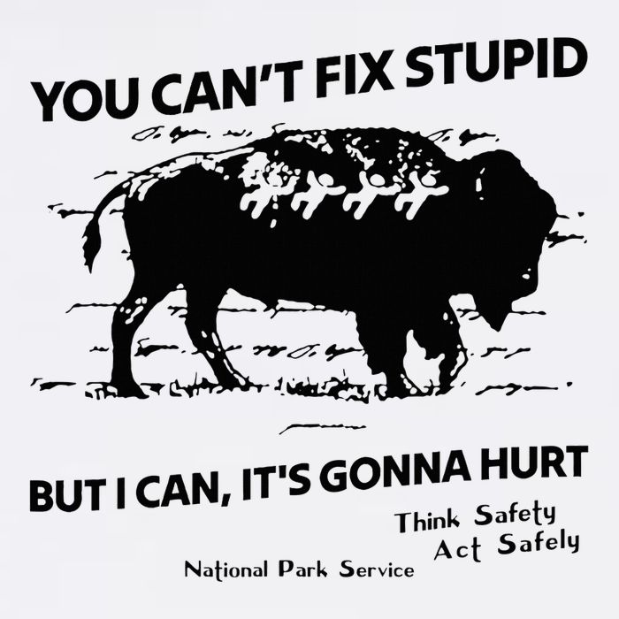 You Can’T Fix Stupid But I Can ItS Gonna Hurt Funny Quote T-Shirt