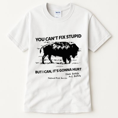 You Can’T Fix Stupid But I Can ItS Gonna Hurt Funny Quote Tall T-Shirt